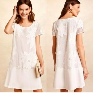 Anthropologie Maeve Orchard Beach Dress  Ivory Floral Size Small NWT